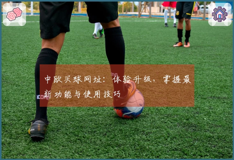 中欧买球网址：体验升级，掌握最新功能与使用技巧