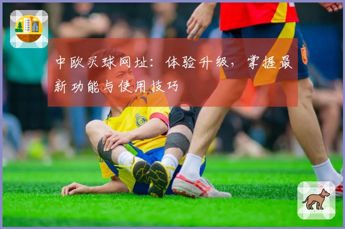 中欧买球网址：体验升级，掌握最新功能与使用技巧